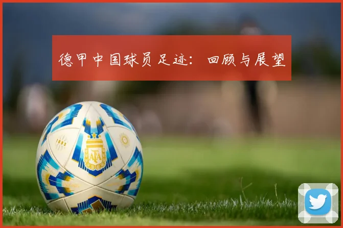 德甲中国球员足迹:回顾与展望