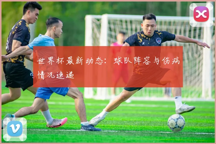 世界杯最新动态:球队阵容与伤病情况速递