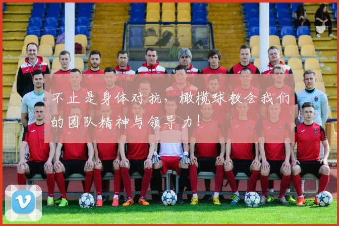 不止是身体对抗，橄榄球教会我们的团队精神与领导力！