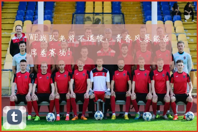 WE战队老将不退役,青春风暴能否席卷赛场!
